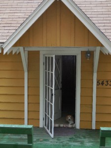 Carly Cabin Door