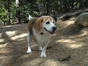 Carly hiking good